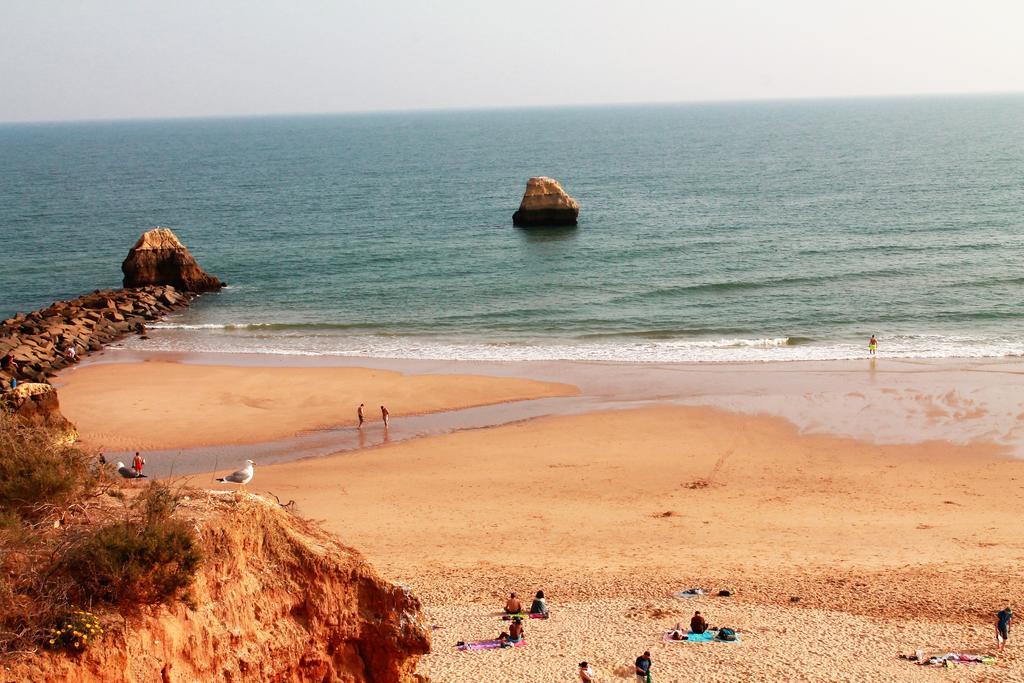 Praia Da Rocha, 502, Charming Apartment, Air Conditioning, Swimming Pool,Free Wifi, Faia By Ig Portimao Ngoại thất bức ảnh
